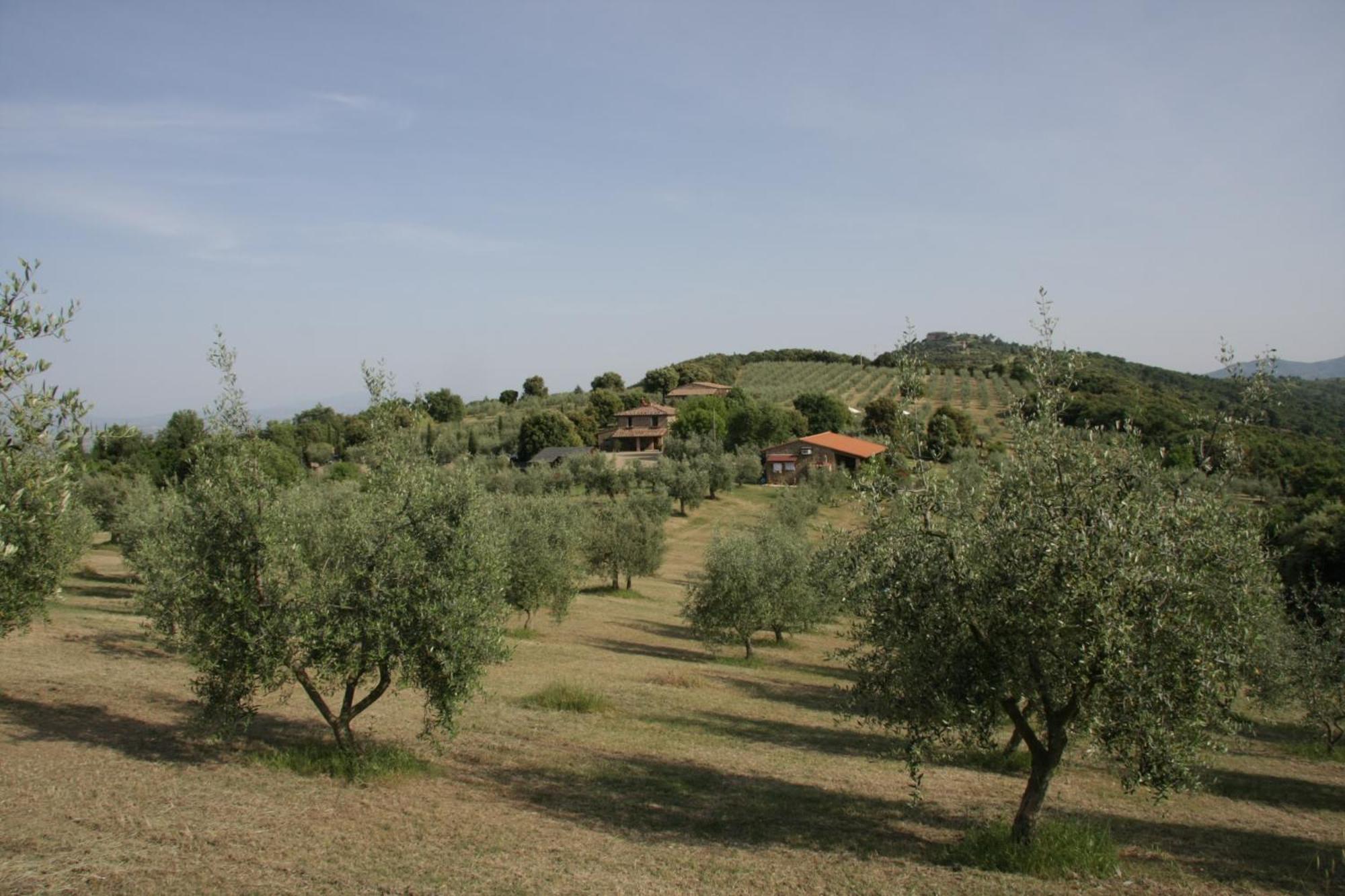 The Country House Montali Tavernelle  Luaran gambar