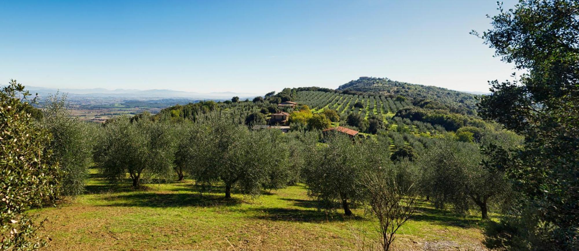 The Country House Montali Tavernelle  Luaran gambar